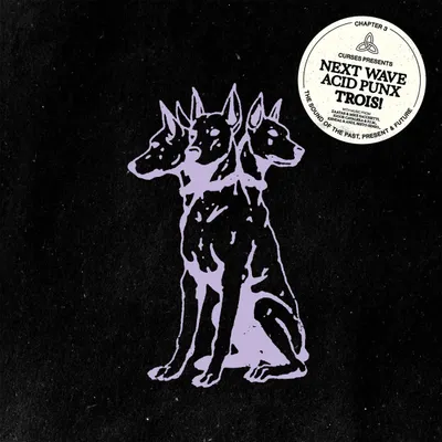 Curses — NEXT WAVE ACID PUNX TROIS - CHAPTER 3 LP 2x12" vinyl cover