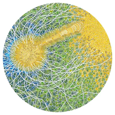 Max Cooper — Feeling Is Structure (3x12") vinyl cover