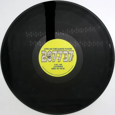 207737 — Lyfe On The Dance Floor LP vinyl cover
