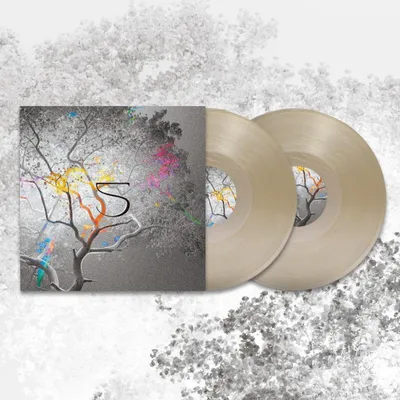 Various — 5 Years 2x12" vinyl cover