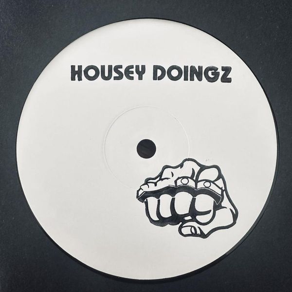Housey Doingz — Baby Dunit vinyl cover