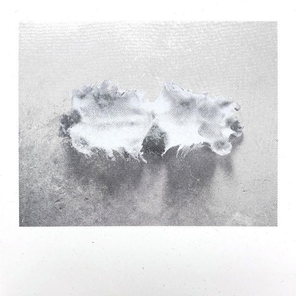 Joe Fujinoki — Glass Torso LP vinyl cover