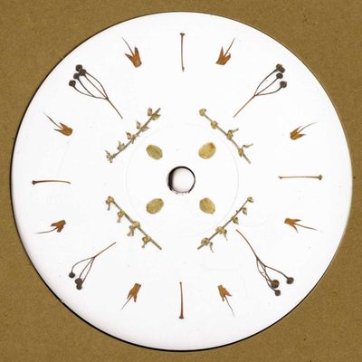 Nutia, Kitchen Island, Ramon Leon — lellep001 LP vinyl cover