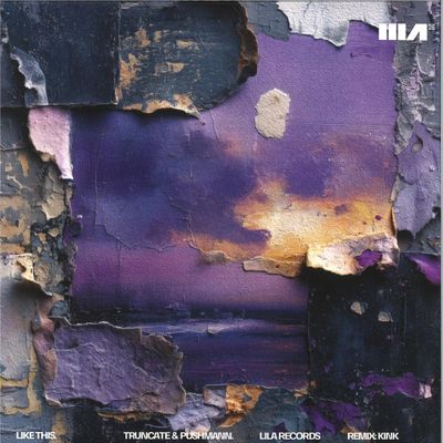 Truncate, Pushmann — Like This LP vinyl cover