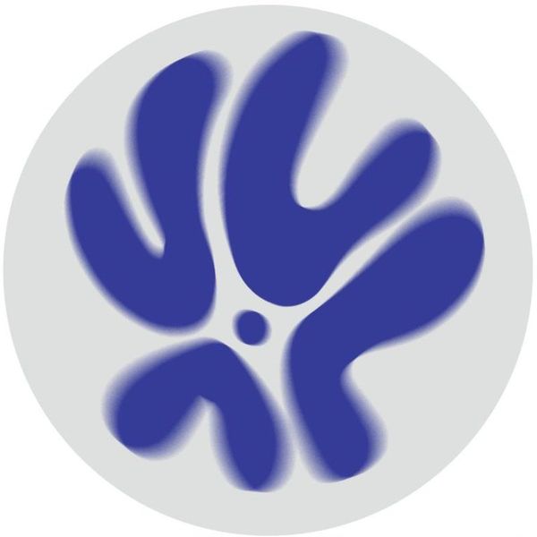 Matteo Point — Acid People EP vinyl cover