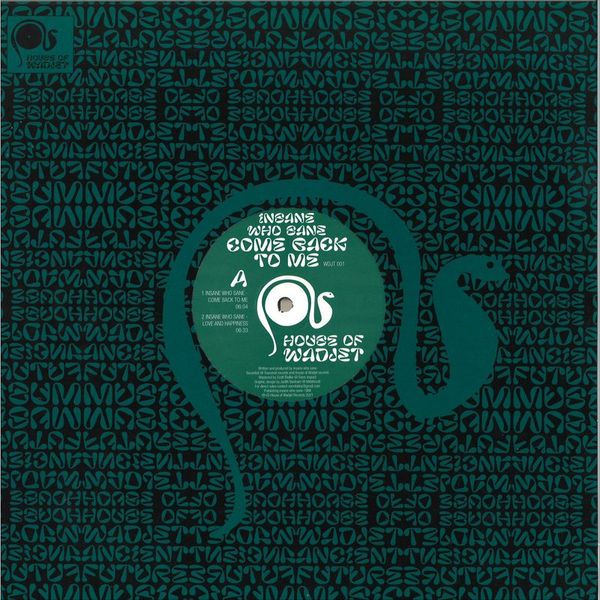 Insane Who Sane — Come Back To Me EP vinyl cover