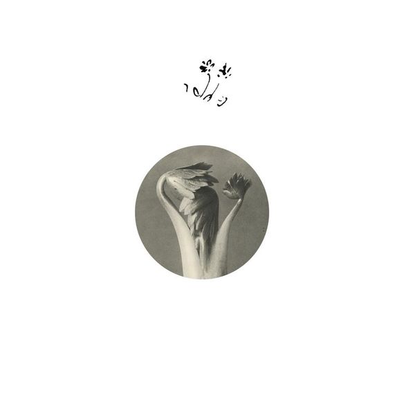 Returning Sweetness (Eversines) — Longevity Eyebrow LP vinyl cover