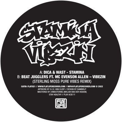 Dica, Wast, Beat Jugglers — Stamina / Vibezin vinyl cover