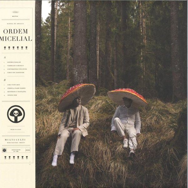 Niños du Brasil — Ordem Micelial LP vinyl cover