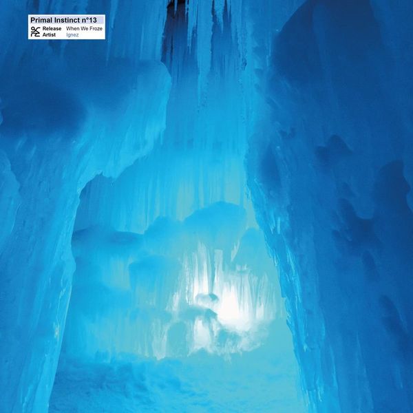 Ignez — When We Froze LP vinyl cover