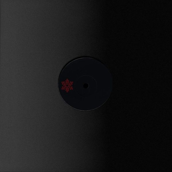 Broken Code, Patrice Meiner, Will Hofbauer — Papi Pt. II vinyl cover