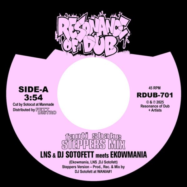 Lns, Dj Sotofett meets, Ekowmania — Fanti Shake (Steppers Mix) / Step-Eight vinyl cover