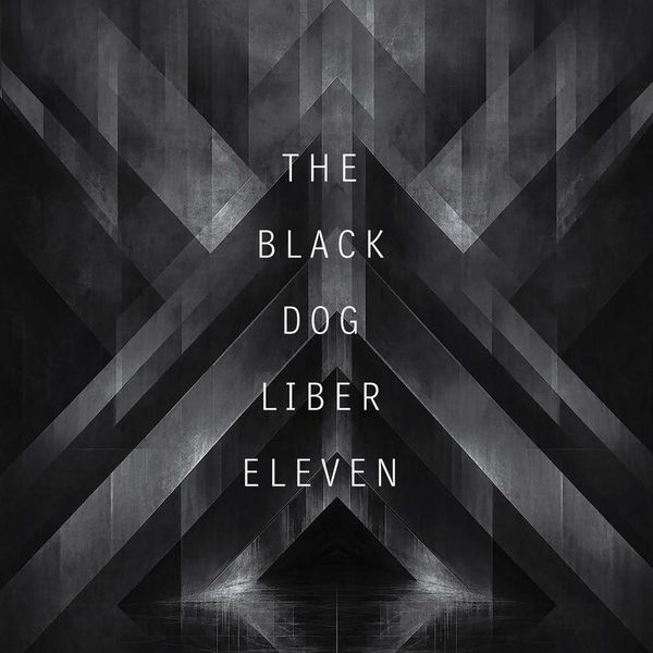 The Black Dog — Liber Eleven (Remastered) vinyl cover