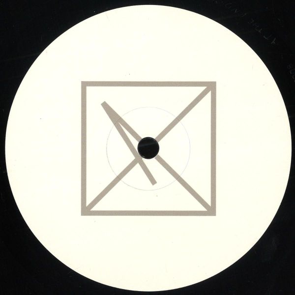 Atonism — At the end of the corridor vinyl cover