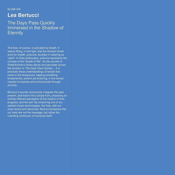 Lea Bertucci — The Days Pass Quickly Immersed in the Shadow of Eternity vinyl cover