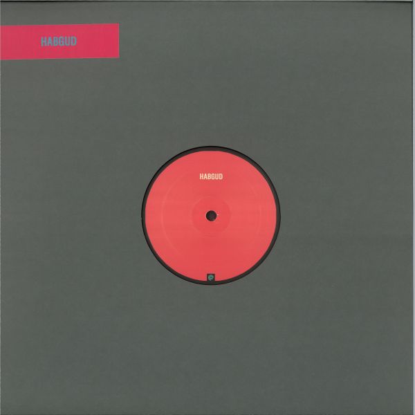 Habgud — Thermal Dynamics EP vinyl cover