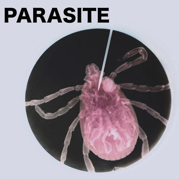 Unknown Artist — PARASITE01 vinyl cover