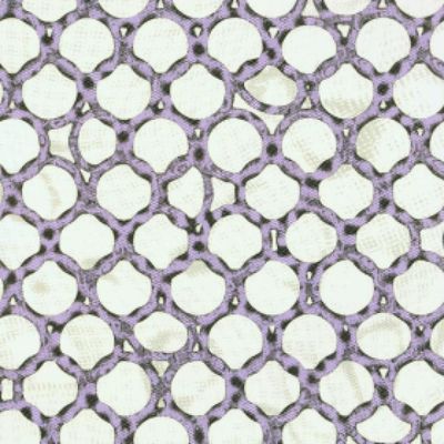 Digital Twin — Hyperlink (2x12") vinyl cover