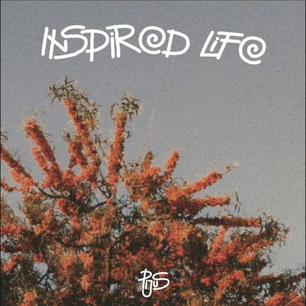 Pijus — Inspired Life LP vinyl cover