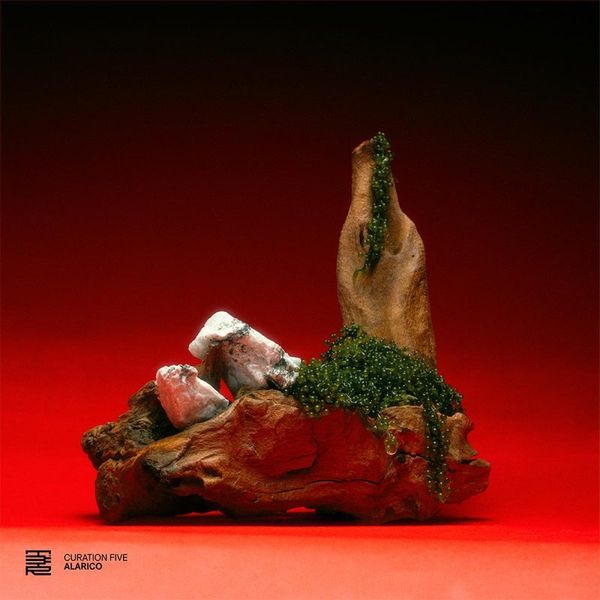 Various — Curation Five: Alarico vinyl cover
