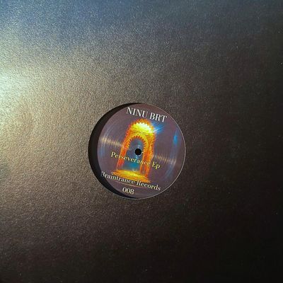 Ninu Brt — Perseverance EP vinyl cover