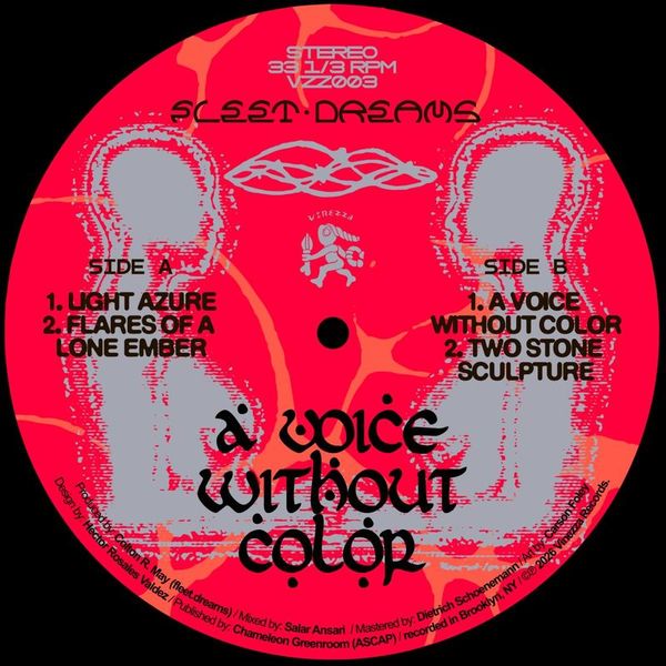 Fleet.dreams — A Voice Without Color vinyl cover