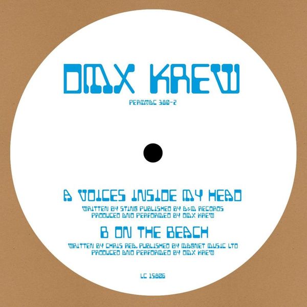 DMX Krew — Voices Inside My Head 10" vinyl cover