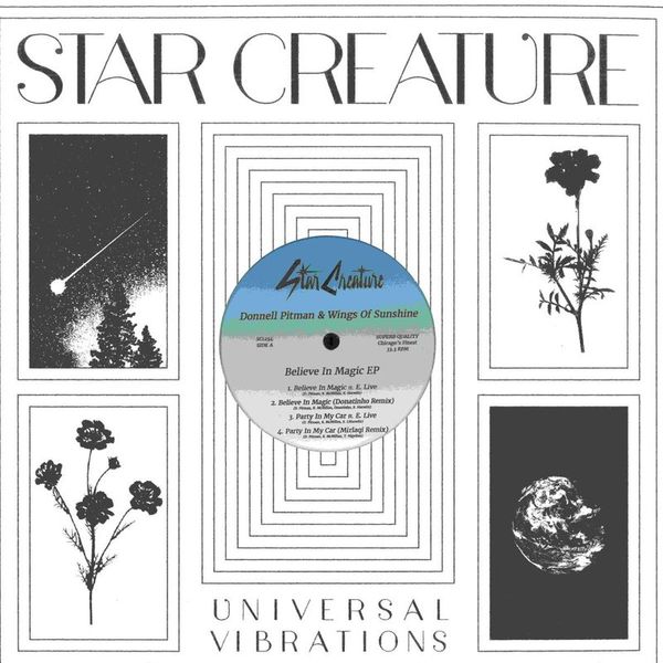 Donnell Pitman, Wings Of Sunshine — Believe In Magic vinyl cover