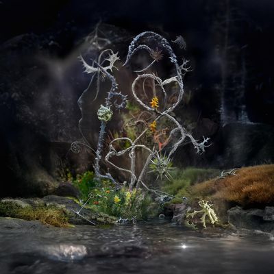 Maude Vôs — Medicinal Properties LP vinyl cover
