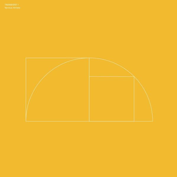 Various Artists — Transient I LP vinyl cover