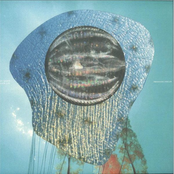 Ocean Moon, Silver Ley — Prismatic Fields vinyl cover