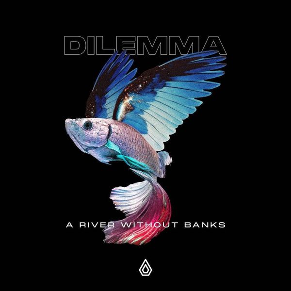 Dilemma — A River Without Banks LP 2x12" vinyl cover