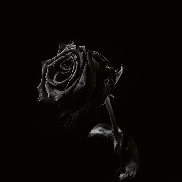 Viclan — Healing Wounds MC vinyl cover