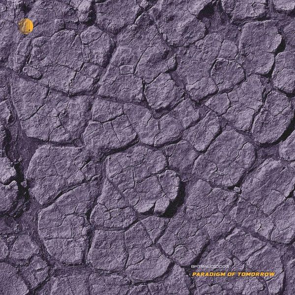 Various Artists — Paradigm Of Tomorrow LP vinyl cover