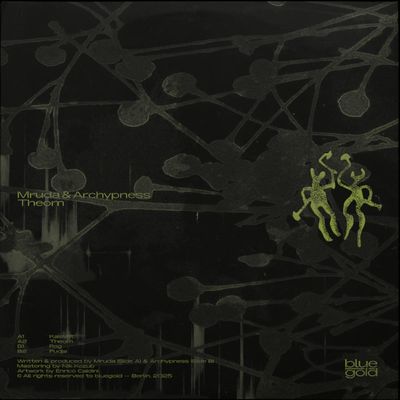 Archypness, Mruda — Theom LP vinyl cover
