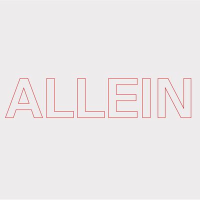 Quarks — Allein vinyl cover