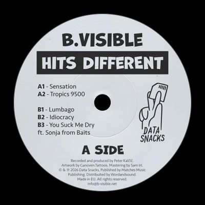 B.Visible — Hits Different vinyl cover