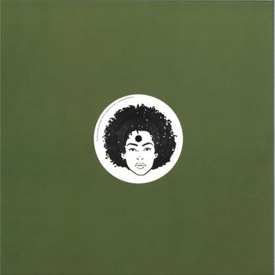 DJ Compufunk — The Remixes vinyl cover