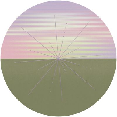 Desroi — Flash Sync Error vinyl cover